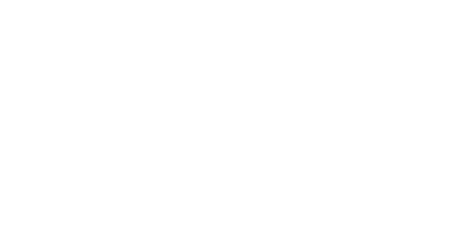 Palm Beach Brothers